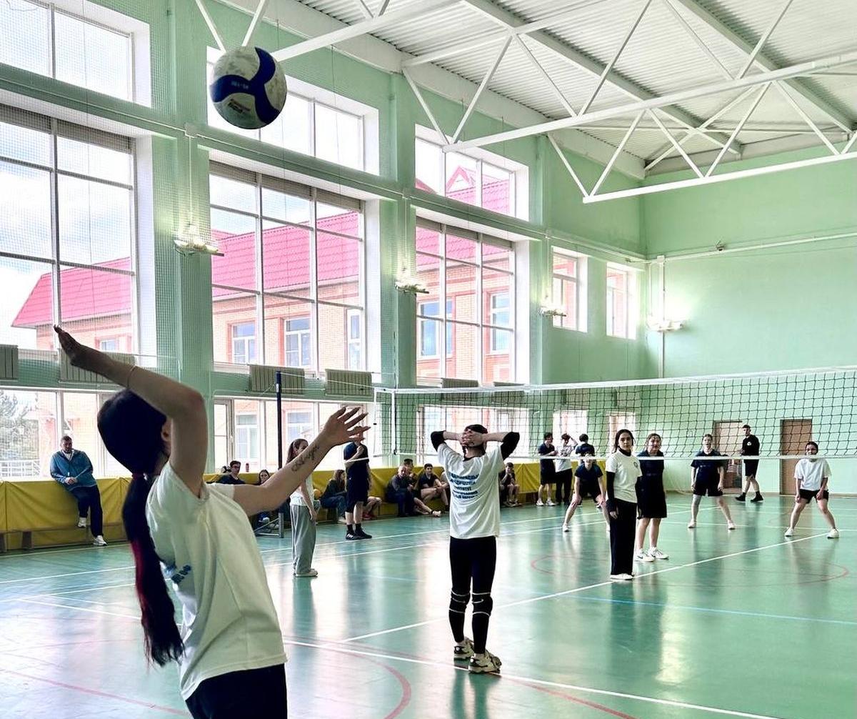Соревнования по волейболу